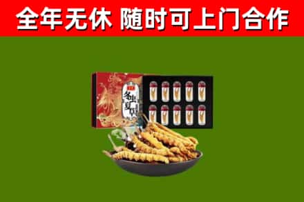 理县烟酒回收冬虫夏草礼盒.jpg