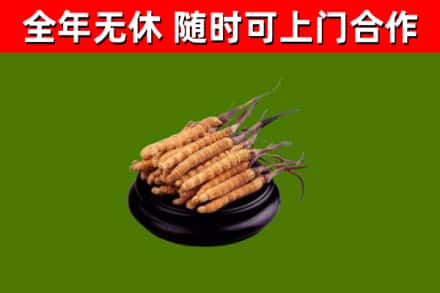 理县烟酒回收冬虫夏草.jpg