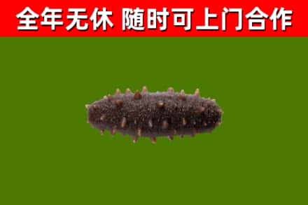 理县烟酒回收干海参.jpg